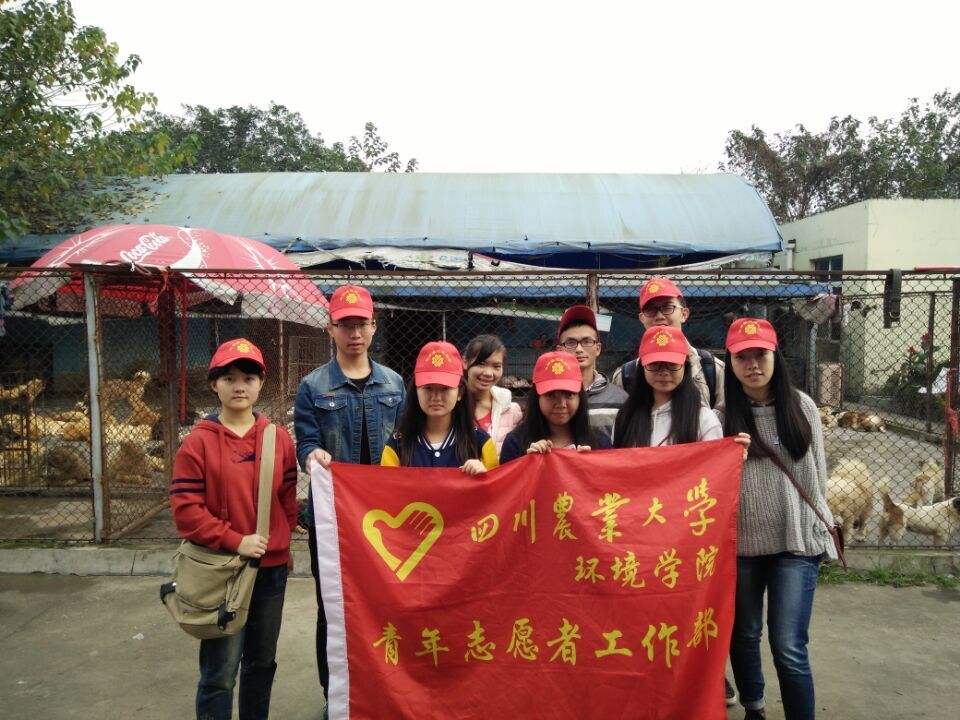 美狮贵宾会官网青年志愿者工作部再赴启明小动物保护中心开展志愿活动 美狮贵宾会官网青年志愿者工作部再赴启明小动物保护中心开展志愿活动