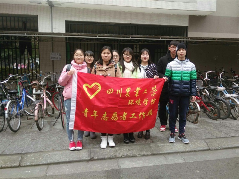 合理摆放自行车,共创文明校园 合理摆放自行车,共创文明校园