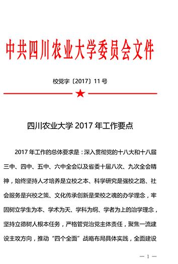 美狮贵宾厅2017年工作要点
